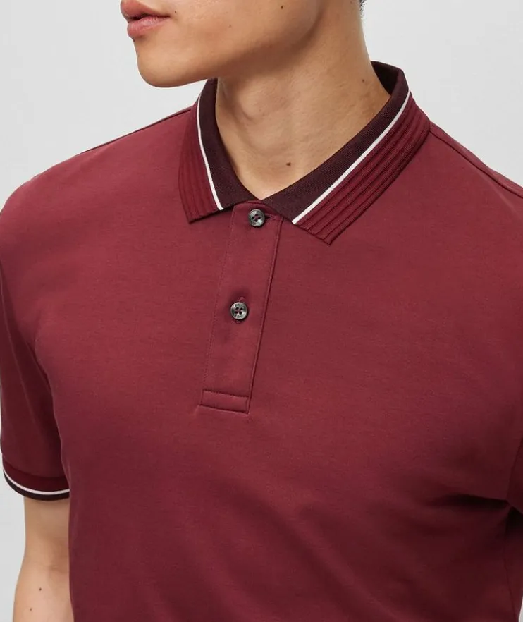 Stripe Tipped Mercerized Cotton Polo